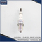 Spark Plug 10100035hj for Audi A6 Spare Parts