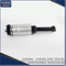 Shock Absorber Lr041108 for Land Rover Range Rover Sport